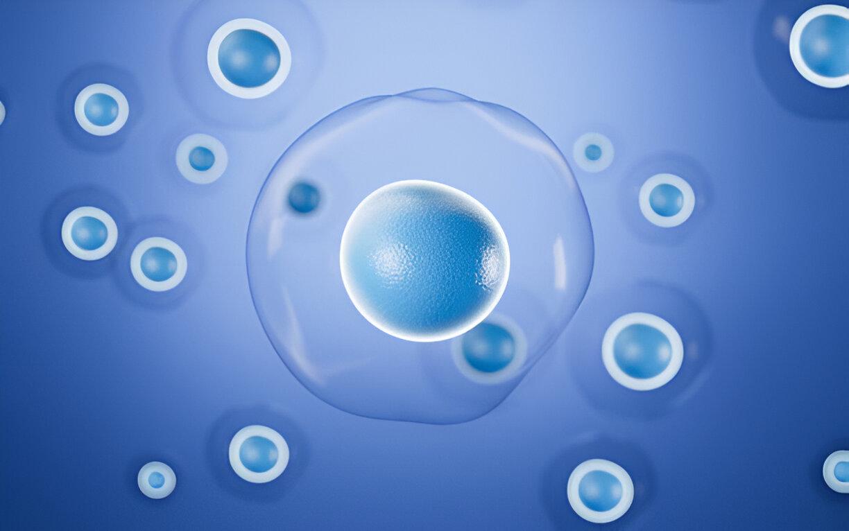 Genomic & Epigenomic Insights